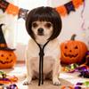 Exposed Ear Design Pet Bob Wig Adjustable Fit Cat Cosplay Wig Cat Fake Hair  Holiday Photography
