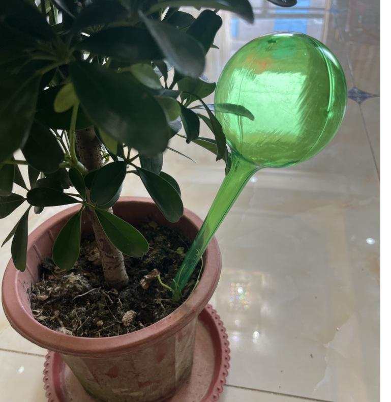 Automatyczna kula do podlewania roślin ogrodowych