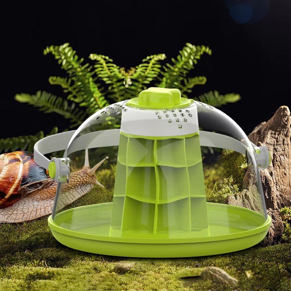 

Removable Snails Breeding Tank Transparent Reptile Habitat Cage Reptile Observing Box Butterfly