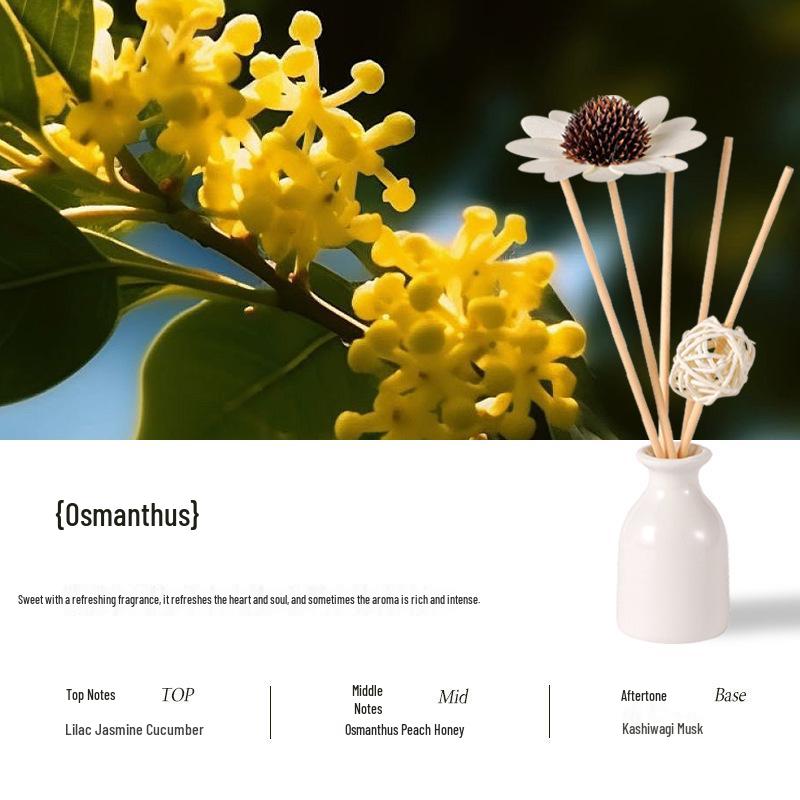 Lavender Flameless Aroma Diffuser Set with Customizable Rattan Ceramic Essential Oil.