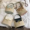 Beach Vacation Woven Women's Bag 2026 New Fashion Trend Korean Version Versatile Fashion Handheld Crossbody Bucket Bag