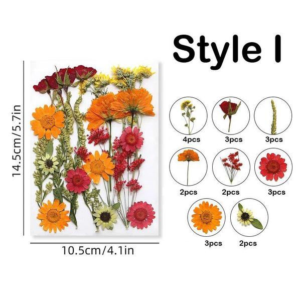 16-19PCS/Pack Dried Flowers Plants for Resin Molds Fillings Epoxy Resin Craft DIY Nail Art Decoration Pressed Flowers