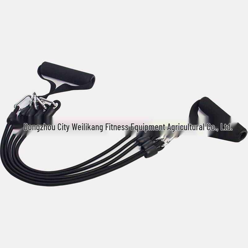 Chest Expander Resistance Band