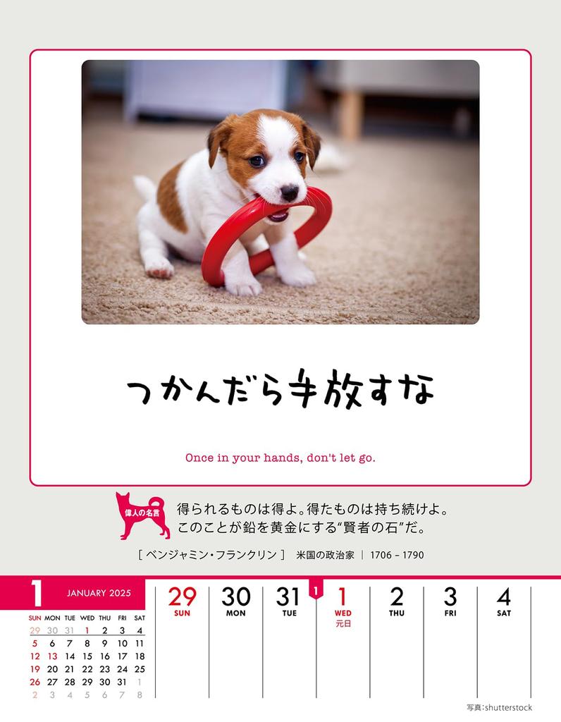 Tri-X Life Is One Chance! Tabletop/Wall 2025 Calendar CL-383 18×14cm