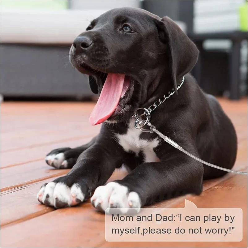 Doppelköpfige Hunde Auslaufkabel Leine, Traktionsseil mit Metallschnalle Stahldraht rostfreier Trainingshalsband, Outdoor Hunde Gurt