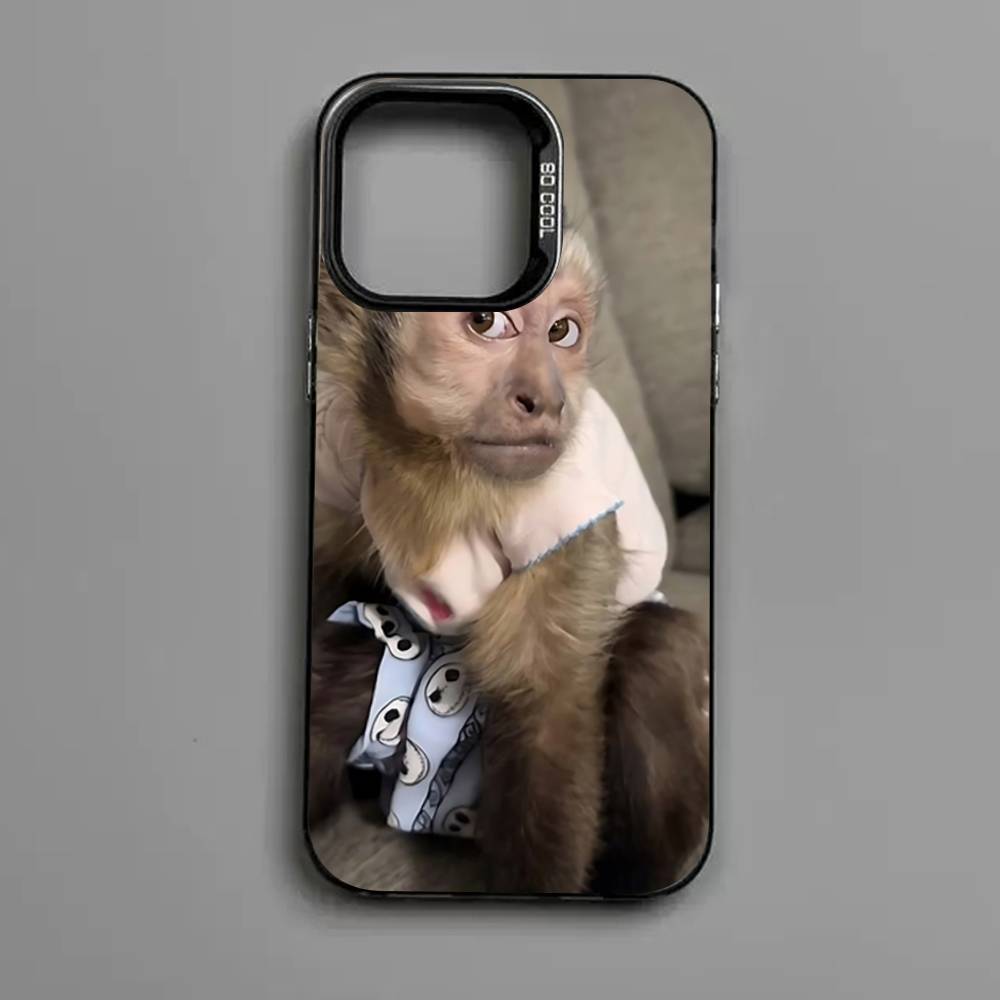Cute Funny Monkey Phone Case for iPhone 17 16 15 14 13 Pro 12 11 Pro Max PLUS Color Back Cover