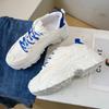 Mesh Dad Shoes Women's New Autumn Breathable Ins Tide Korean Version Versatile Sports and Leisure Thick-soled Heightening Running Shoes