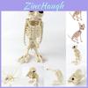 Creepy Animal Bones Halloween Decoration For Cats Dogs Owls And More