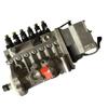 K1125-300KW PT Fuel Pump Assembly for Cummins Engine 4951410