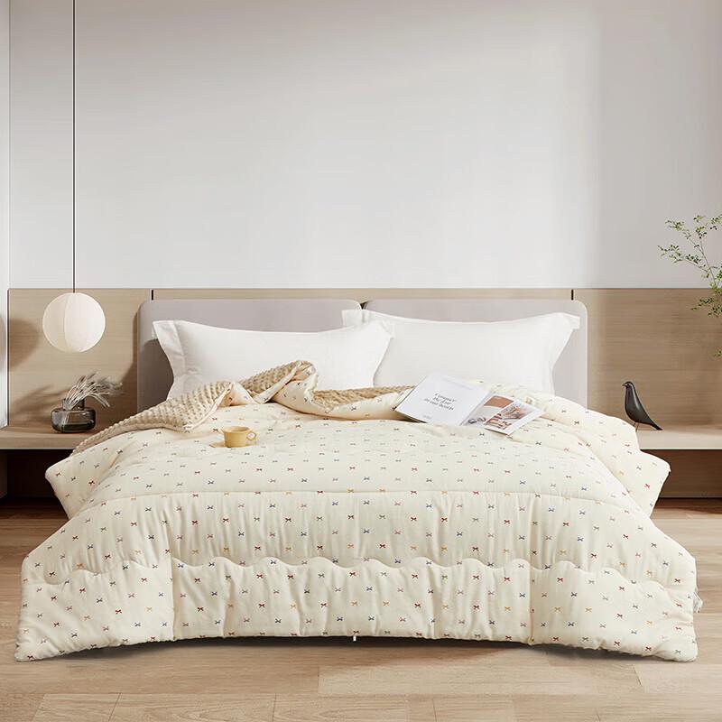 

Tianqin Thickened Minky Comforter