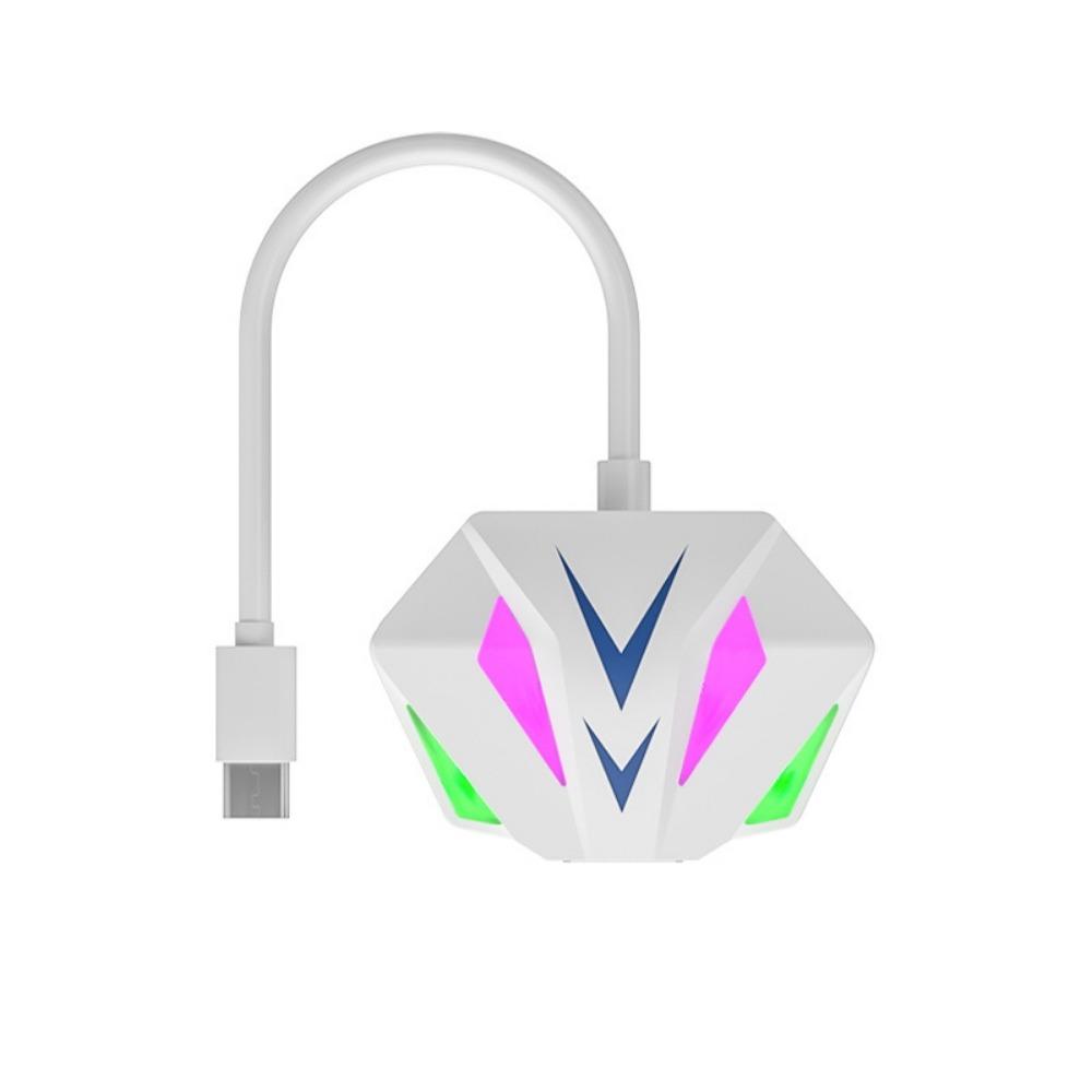 2-in-1 USB To RJ45 Network Card USB/Type-c USB To Network Port For PC Laptop