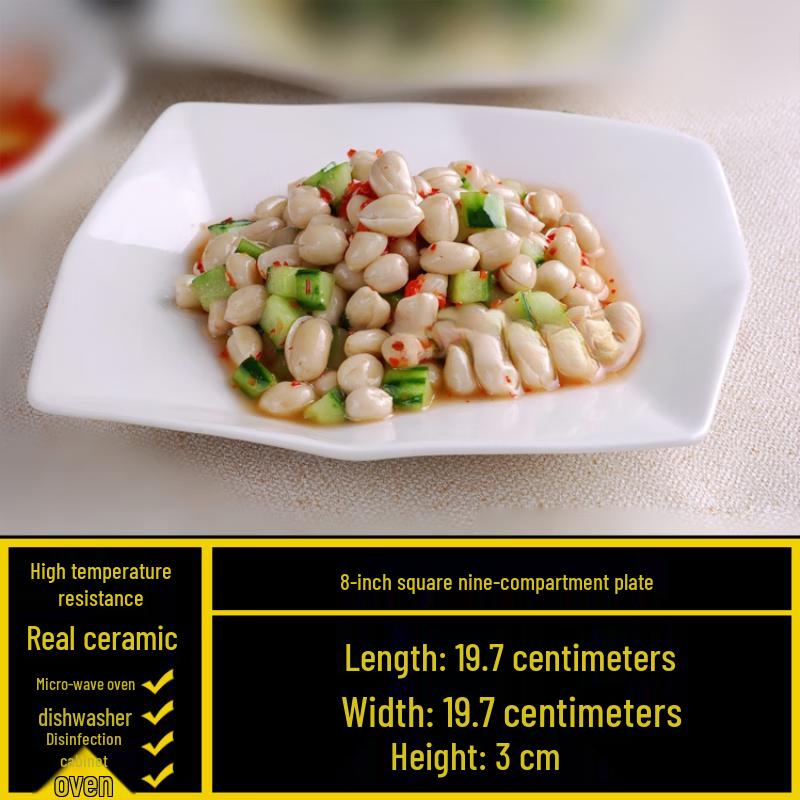 Elegant Square Ceramic Dinner Plate