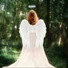 Angel Costume Accessory with Halos Headband Fairys Angel Wing Fairys Angel Wing for Halloween Cosplay Photograph Prop