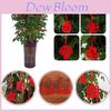 Accesorii de petrecere – Decorațiuni de Crăciun