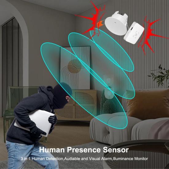 Smart Life Zigbee Human Presence Detector Tuya Wifi MmWave Radar Pir Motion Sensor With Luminance Detection For Smart Home