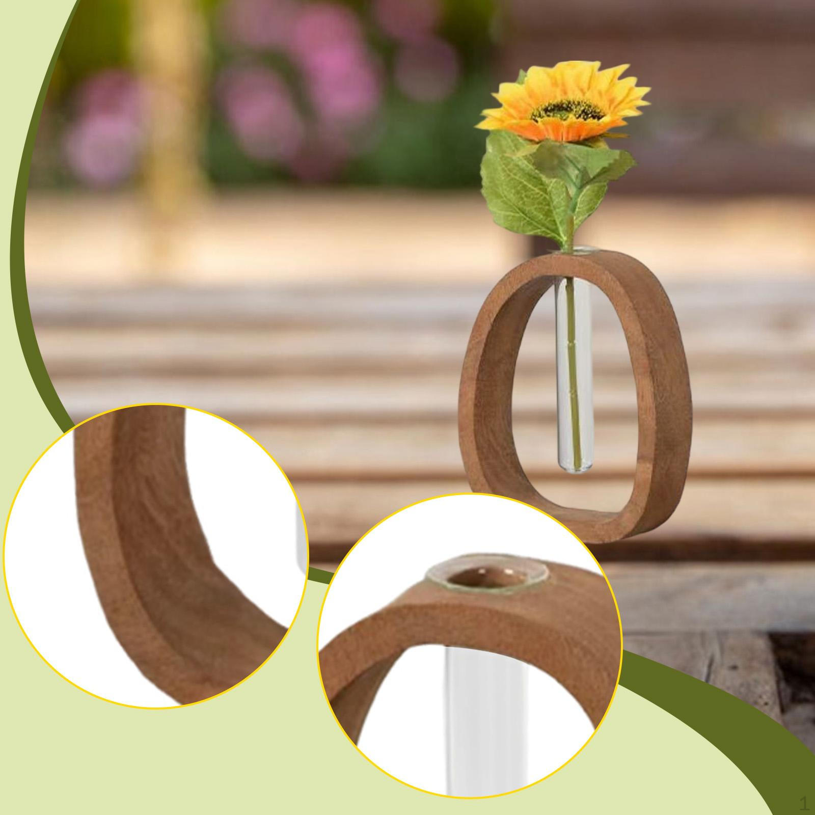 

Test Tube Vase Plant Modern Creative Terrarium Holder Clear Planter for Wedding Tabletop