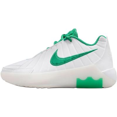 LeBron Witness 9 GS Blanco Verde Estadio Zapatillas para Niños Oro Metálico HV2270-101