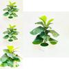 Ficus Pandurata Hance Künstliche Pflanze Mit Plastikblättern Für Heimdekoration Und Geschenk