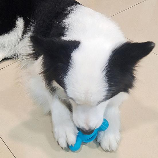 Giocattolo Dispenser di Premi Interattivo per Cane Cucciolo Forma Realistica di Osso Resistente al Morso Giocattolo Durevole da Masticare per Cani Articoli per Animali Domestici