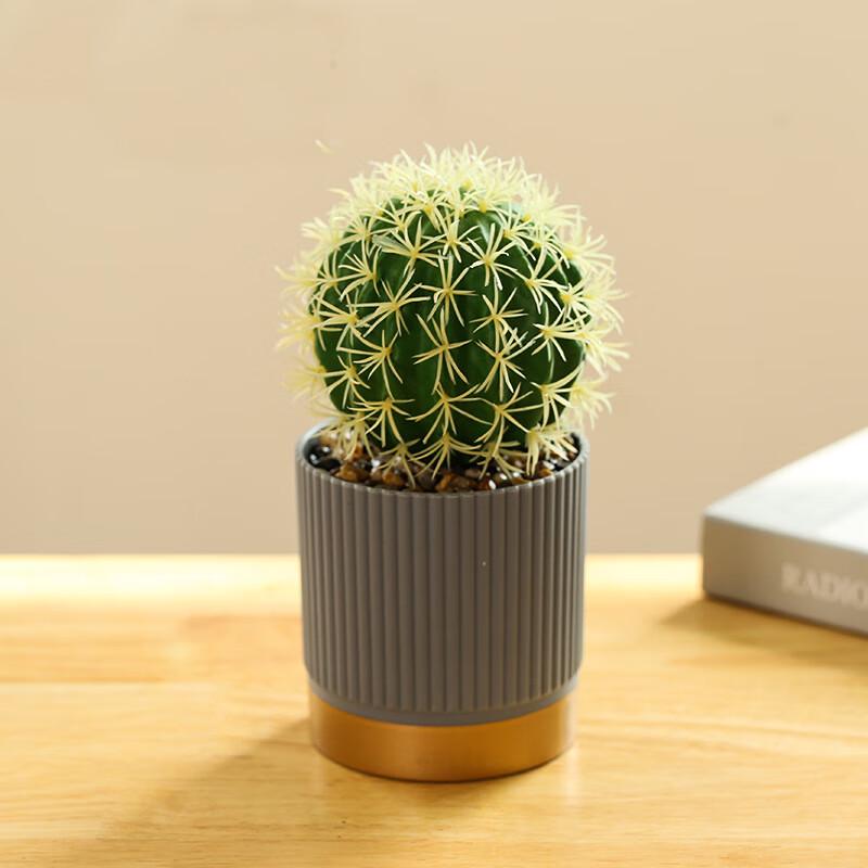 Artificial Cactus Desktop Ornament