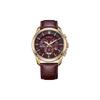 Eco-Drive Series Perpetual Calendar Fashion Solar Quartz Cowhide Strap Men's Watch Red Dial BL5548-19X