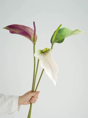 Flores Artificiais Antúrio Planta de Antúrio Artificial de Alta Qualidade Decoração de Casamento para Casa Festa Arranjo Floral Casamento