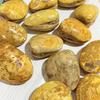 Yellow Madagascar Clam Stone Fossil Natural Bivalve Shell Specimen for Geology Study Desktop Paleo Ornament