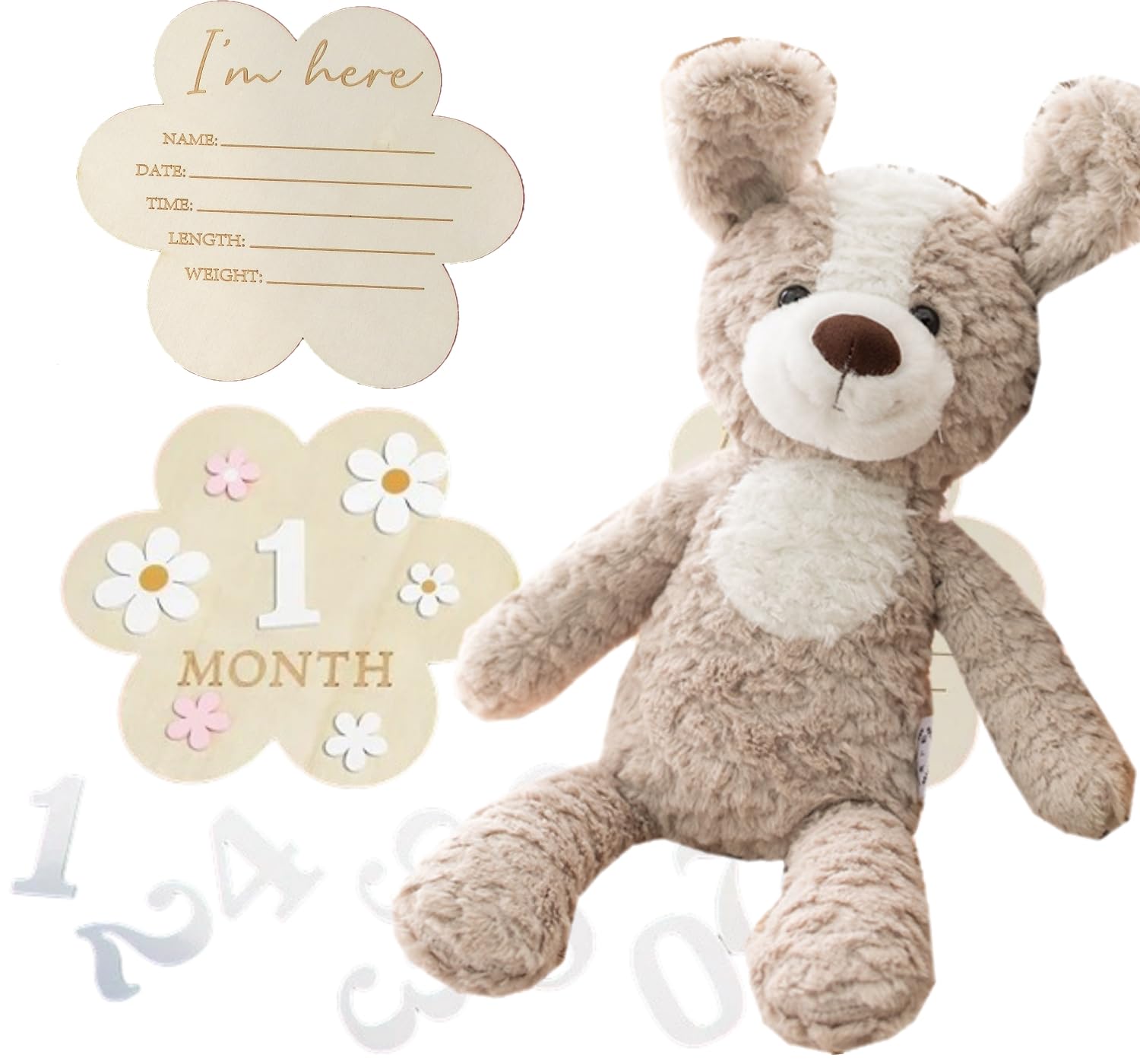 

JP-SAKURA [подлинный] Первый игрушечный медведь с фотонабором на полдня, 100 дней празднования, мой список детских игрушек, плюшевый подарок на рождение ребенка (Собака + Деревянный жетон-цветок)