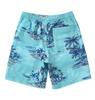 Quiksilver LONGMANHILL VOLLEY YOUTH 16 Boys' Board Shorts, Blue