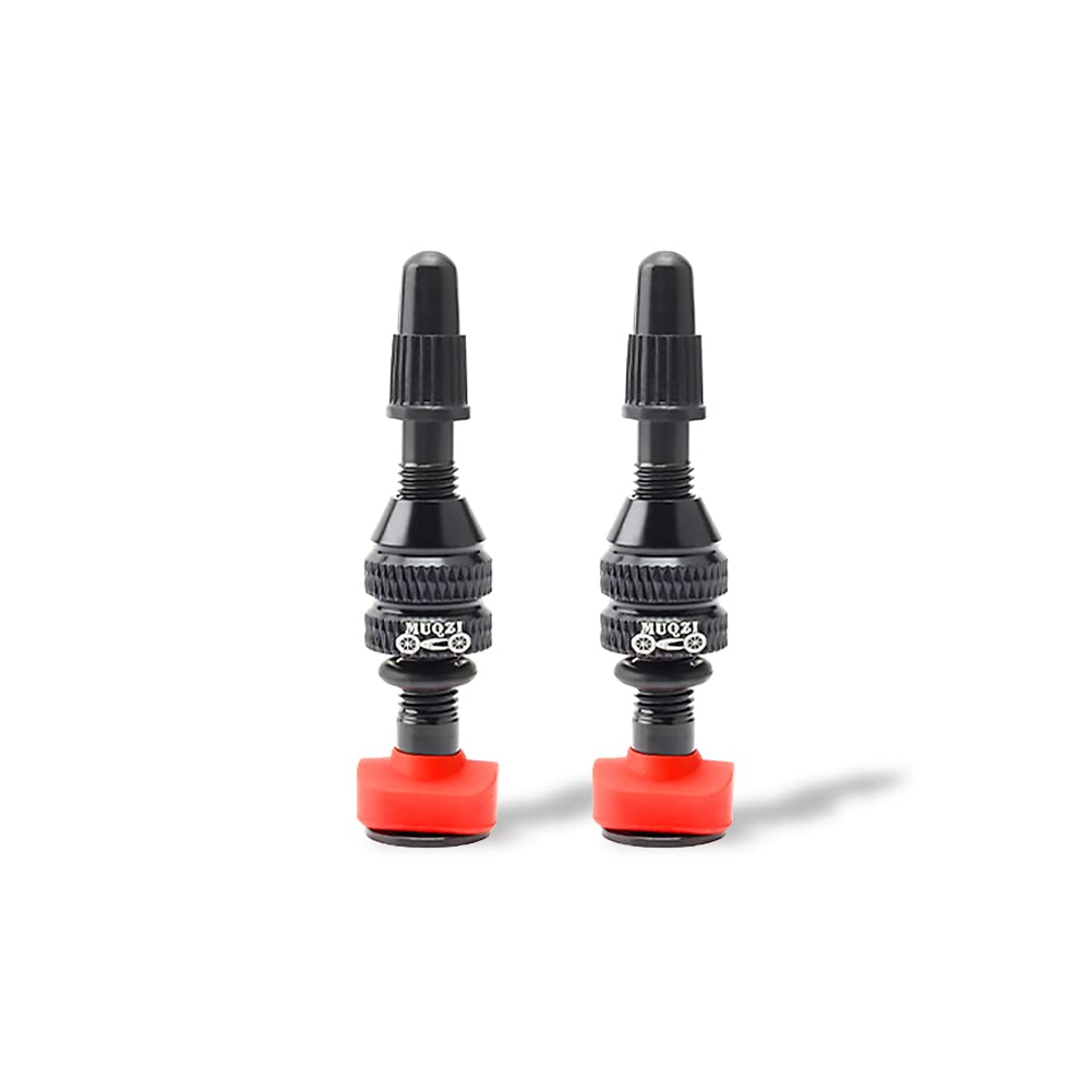 Kigauru 1 Pair Bicycle Fulcrum Tubeless Valve 40mm Length Aluminum
