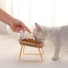 Professional Cat Double Bowl New with Stand and Mat Pet Kitten Puppy Transparent Food Feeding Dish Metal Elevated Water Feeder Dog Supplies