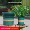 Jimei Plastic Gallon Planter with Tray