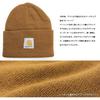 BEANIE Knit Hat Hat USA Folded Tag Hat [Carhartt] Cap/Knit Men's Women's Autumn/Winter (BLACK(BLK))