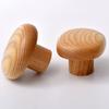 4PCS Simple Styles Wall Mount Hooks Solid & Beech Wood Multipurpose Hooks Upgrades for Hanging Clothes & Accessories