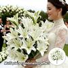 Fashion 18 Heads Artificial Lilis DIY Flower Realistic Simulation Flowers Plastic Multicolor Artificial Flowers Home Decoration