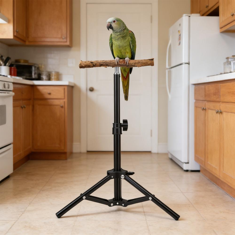 Black Bird Training Perch Alloy Bird Play Perch Outdoor Bird Stand Physical Activity Space