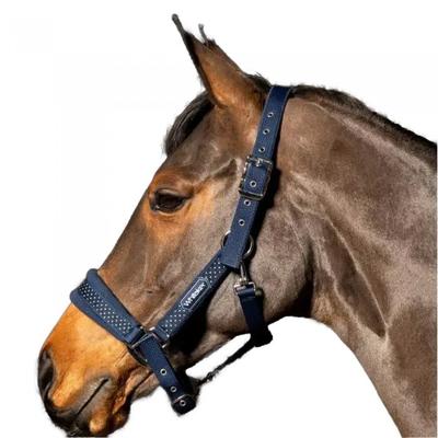 Whitaker San Francisco Horse Headcollar