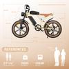 X70G Electric Bicycle - 750W motor, 80km range, maximum load capacity 150kg