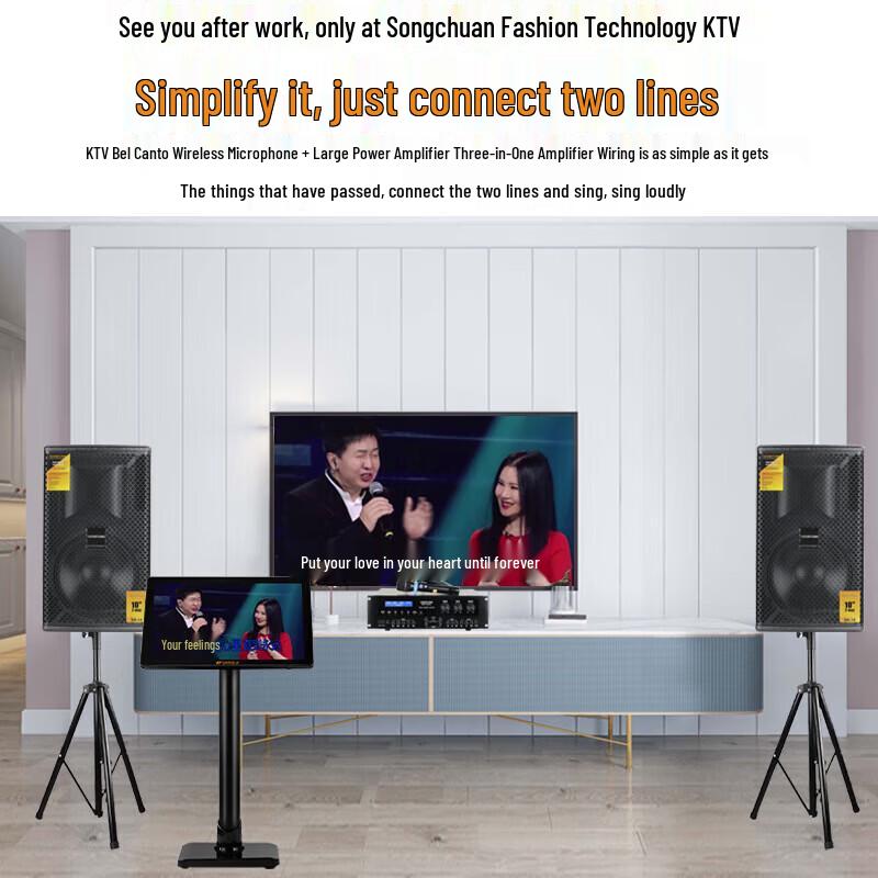 Songchuan SP101 Home KTV Professional Audio System CN Plug (adapter Included)