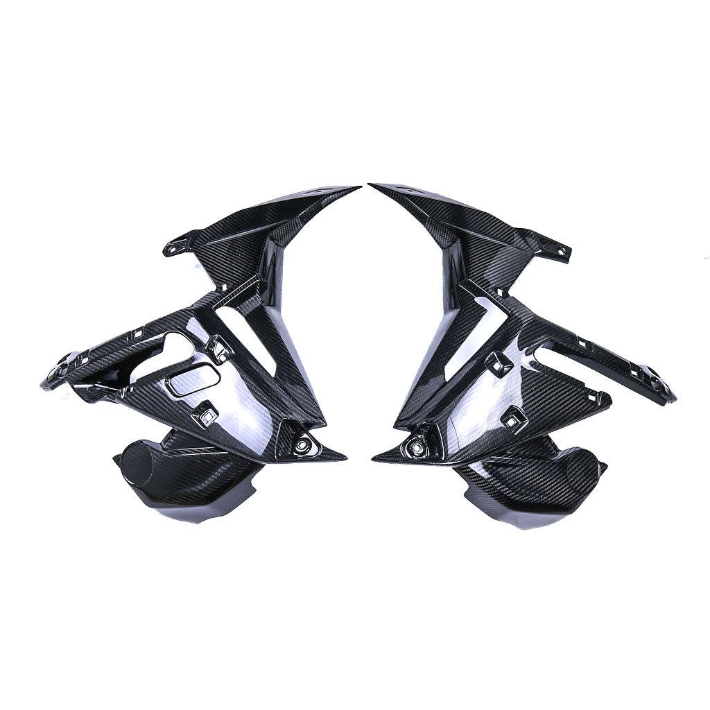 BMW S1000R M1000R Thunder Edition Carbon Fiber Side Panel Liners