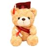 23/28cm Bachelor Bear Plush Toy Cute Bear Animal Doll Doctor Cap Graduation Bear Doll  Party Favors