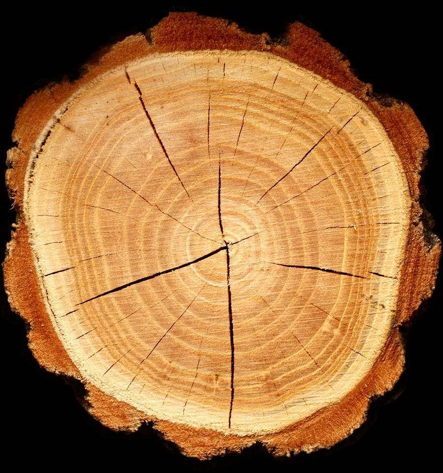 Yodeyma Caribbean Water Perfumed for Men 100ml