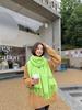 Women's and Men's Thick Warm Cashmere-Like Scarf - Autumn Winter Korean Style with Tassels, Solid Color
