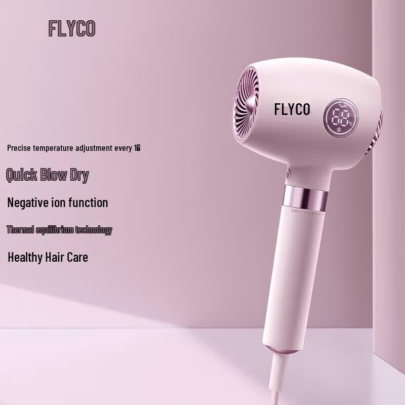 FLYCO FH6368 Smart Negative Ion Hair Dryer CN plug (adapter included)