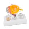 Eyeball Lesion Model Enlarged Human Eye Anatomical Model Accurate Shows Optic  Cornea  Lens  Eyeball Model