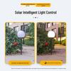 Outdoor Waterproof Solar Lawn Lamp - Decorative Garden Ground-Plug Light