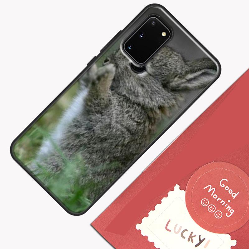 Baby Rabbits Bunny Phone Case For Samsung Galaxy S25 S26 Ultra S20 S21 S22 S23 S24 Plus S9 S10 S25 FE Cover Shell