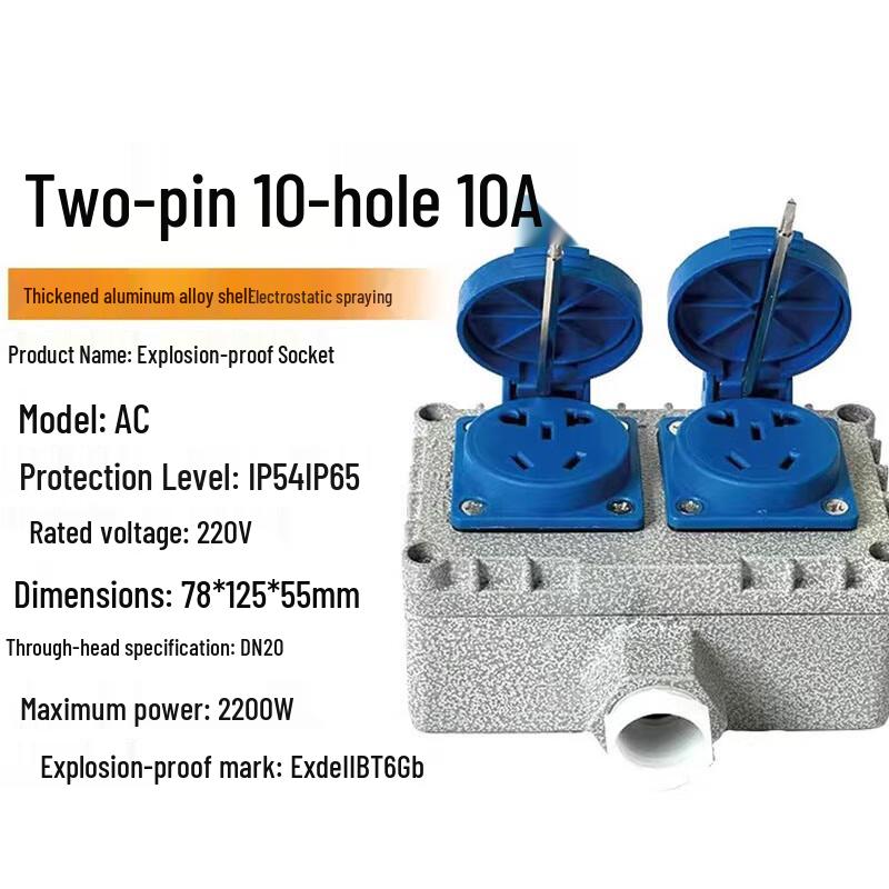 

CHUGOUXIANG 380V 10A Explosion-Proof Dual-Gang Wall Socket CN plug (adapter included)