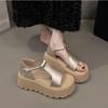 Women's Petite Platform Platform Sandals New Summer Style Versatile Roman Sandals High-heeled Beach Sandals To Match Skirts