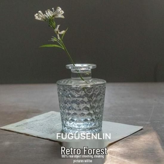 Small French Retro Glass Vase for Flowers and Hydroponics